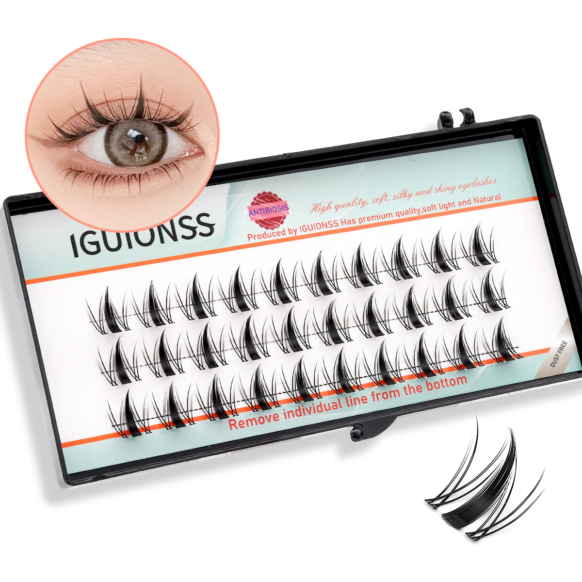 Wispy Lash Clusters DIY Lash E - огляд і ціна Eyelash Extension Wet Look