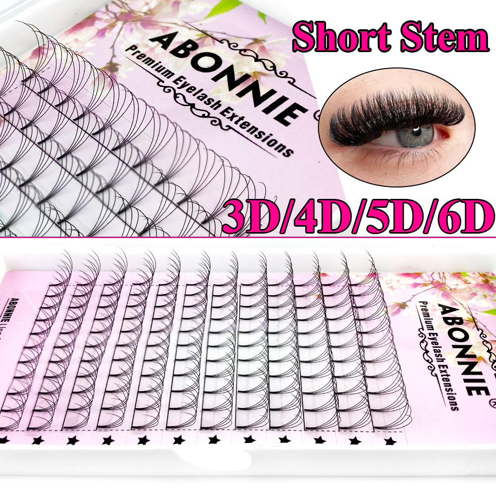 Abonnie 6D Narrow Fan Premade  - огляд і ціна Lash Fan Volume